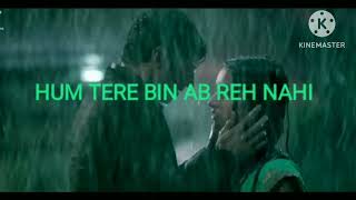 Hum Tere Bin Ab Reh Nahi Sakte Lofi song