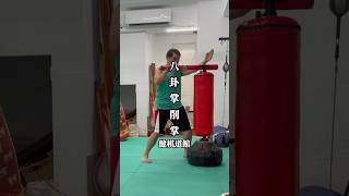 八卦掌練習 Practice【健棋道館】#武術 #martialarts #功夫 #kungfu #sparring #八卦掌 #形意拳  #boxing #mma #空手道 #拳擊 #泰拳