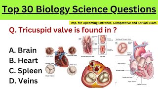 Top 30 biology MCQ | | Biology mcqs 2025 | Biology Mcq | biology mcq for all competitive exam