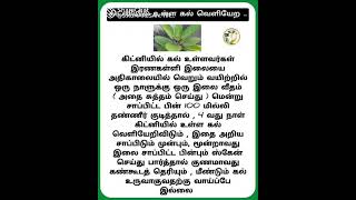 kidney stone கிட்னி கல் வெளி வர #likes #subscribemychannel