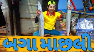 બગા માછલી /baga masli/amazing video /#સમુદ્રી લુટેરા/fishing bot 🤩