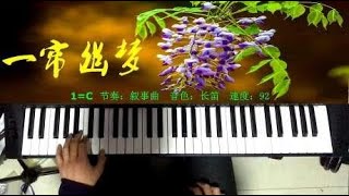 中老年学音乐：经典老歌《一帘幽梦》电子琴独奏