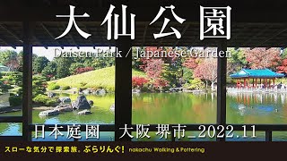 紅葉の大仙公園　　　　大阪 堺市_2022.11