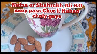 NAINA OR SHAHRUKH ALI KO MERY PASS CHOR K KAHAN CHALY GAYE || NAINA KI RUBEENA MEER VLOGS