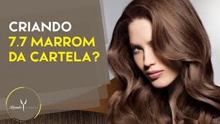 Cabelo marrom. Como criar o marrom da cartela de cores???