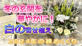 冬の玄関前を華やかに　ホワイト系の寄せ植えで今年の植え納め　＃77