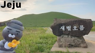 [제주도 여행] 멋진 석양을 볼 수 있는 오름, 새별오름에 오르다 / Saebyeol Oreum in Jeju Island