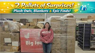 2 Pallets of Surprises! Plush Owls, Bluey Blankets & Epic Finds!