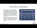 Sleep as method for detox webinar with Dr Peter Kan and Dr Christine Schaffner