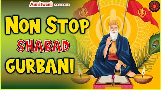 Non Stop Shabad Gurbani || SHABAD GURBANI || AUDIO JUKEBOX