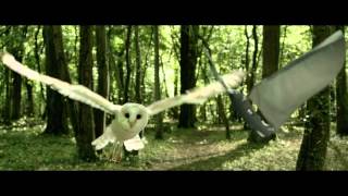Bionic Bird: raptor attacks!