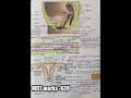 Best way to Read NCERT of Biology | NEET exam Shots | Markings and highlighting | Biology score -360