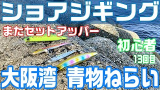 【ショアジギング】初心者 大阪湾 ルアー 釣り セットアッパー 鰤カスタム ジグ 青物狙い【13回目】