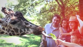 Catch a Family Adventure in Des Moines this Summer!