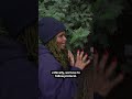 Science Unlocked 2.0: These Trees Aren’t Supposed to Be Here | The 77 Percent