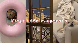 Vlog: Life Fragments｜1月生活碎片，猫猫狗狗的治愈日常，健康版燕麦香蕉饼干🍪，爱用分享，自制康普茶｜XINTONG