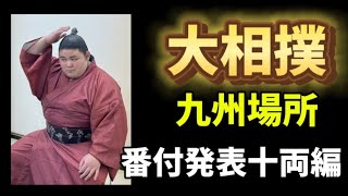 【大相撲】令和６年九州場所番付発表【十両編】朝乃山十両残留ならず!!