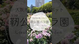 ⚫︎靱公園のバラ園⚫︎大阪ビジネス街のオアシス😌そろそろバラの季節🌹大阪のバラスポットといえば中之島ばかりでしたが、靱公園もキレイときき、今年初めて行きました。2023年春の映像。 #Shorts