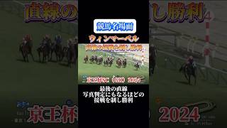 【競馬】ウィンマーベル【京王杯SC2024】#shorts #競馬 #ウィンマーベル #京王杯スプリングカップ #競馬予想はショート動画に #東京競馬場