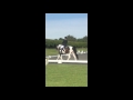 hannah knight and knights parnashe dressage to music at sheepgate u25 championships