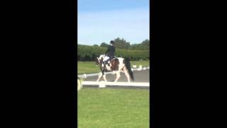 Hannah Knight and Knights Parnashe Dressage to Music at Sheepgate U25 Championships