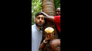 Let's Try a COCONUT in Zanzibar