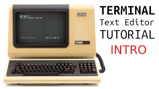 Programming a Text Editor in Go - Intro & Demo