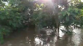 Flooding in gadchiroli district at. Markanda Deo Ta.chamorshi dist.Gadchiroli