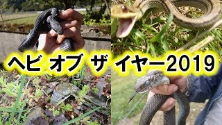 ヘビ オブ ザ イヤー2019