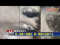 釣黑鮪魚只剩魚頭 船長雪恥帶回12隻－民視台語新聞