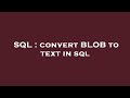 SQL : convert BLOB to text in sql