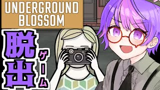 【脱出謎解き】不思議な世界の地下鉄に乗って女性の人生と記憶の旅をする【Underground Blossom】【個人Vtuber/小鳥遊波音】ホアンダーグラウンドブロッサム