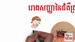 រោគសញ្ញានៃជំងឺគ្រុនឈាម