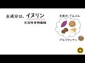 管理栄養士国家試験に出る「きくいも」のすべて