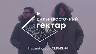 Дальневосточный гектар | 1 серия | Митя и Боря выбирают землю.