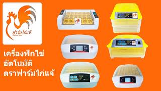 เครื่องฟักไข่อัตโนมัติ ตรา ฟาร์มไก่แจ้ ตู้ฟักไข่อัติโนมัติ