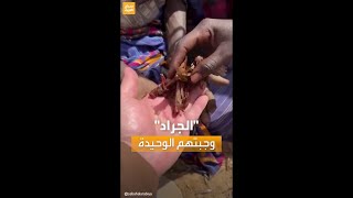 حديث السوشال | نازحات سودانيات وأطفالهن يأكلون الجراد لسد الجوع