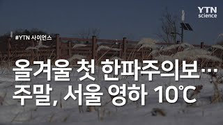 올겨울 첫 한파주의보...주말, 서울 영하 10℃ / YTN 사이언스