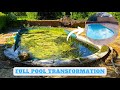 FULL TRANSFORMATION OF A POOL AND SURROUND