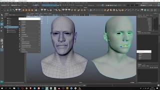 Maya  - Transfer Vertex Order, Reorder Vertices, Restore Blend Shape