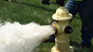 Fire Hydrant Flow Test & Flush