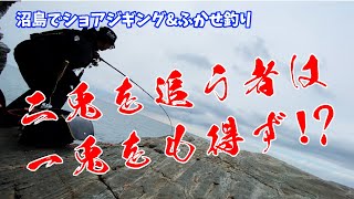 【沼島で磯釣り】釣りでも二兎を追う者は一兎をも得ず…なのか