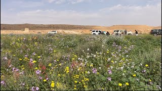 منتره ثادق الوطني ( وادي عبيثران ) لا يفوتك