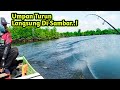 MANCING DASARAN..!! Umpan Turun Langsung Di Sambar