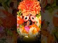 gopa pure ssubhunahin🙏 odia jagannath bhajan 💫 4k ultra hd full screen status video 🌹