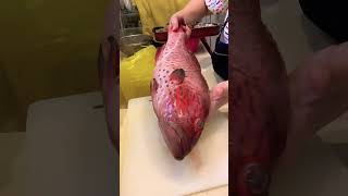 Red hamour fish 🐠 #trending #viral #short #shorts