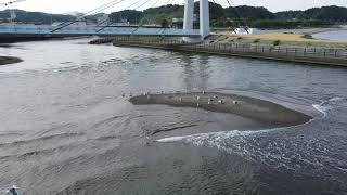 鯵ヶ沢町ハマナス公園ドローン