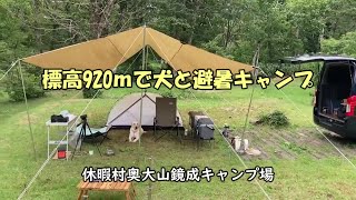 Altitude 920m: A man goes summer camping with his dog in the cool Oku-Daisen mountains