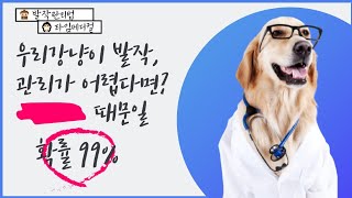 [보호자 안내영상] 우리집 강냥이가 발작을🤯 관리법 궁금하다면 커먼📺