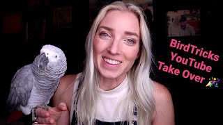 How To Desensitize Your African Grey/Parrot From Fears & Phobias | BirdTricks & SharynZoo